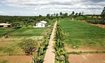 Imagem 7: Haras dentro de condomínio com 10 Hectares a 1 km de estrada de terra