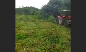 Imagem 5: Vendo 10 alqurires no brejão valor 70 mil o alqurires