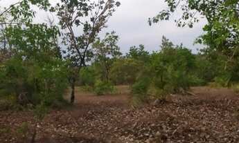 Imagem 5: FAZENDA 106 ALQUEIRES CRISTALÂNDIA TO