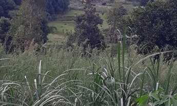 Imagem 6: Chácara em Ararica próximo ao centro da cidade