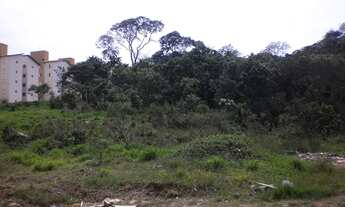 Imagem: Terreno 45 x 227 no Parque São Vicente