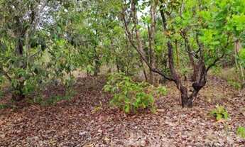 Imagem 3: FAZENDA 106 ALQUEIRES CRISTALÂNDIA TO