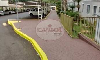 Imagem 2: Apartamento - Ribeirao Preto - Jardim Paulistano