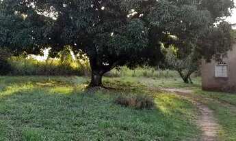 Imagem 2: Terreno plano. Da para fazer 19 lotes