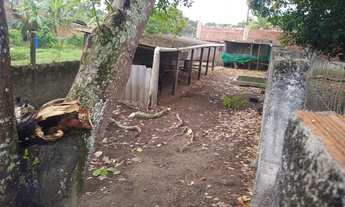 Imagem 4: Casa para venda com 105 metros quadrados com 2 quartos em Planalto - Abreu e Lima - Pernam