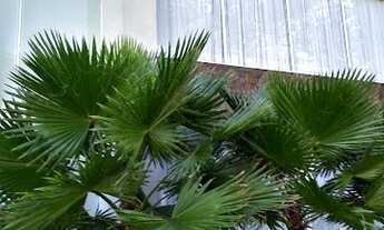 Imagem 4: Casa de condomínio para aluguel e venda com 400 metros quadrados com 3 quartos