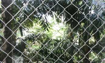 Imagem 5: Apartamento para Aluguel - Real Parque, 2 Quartos, 160 m2