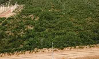 Imagem 4: Fazenda em Jeremoabo - BA | 420 Hectares