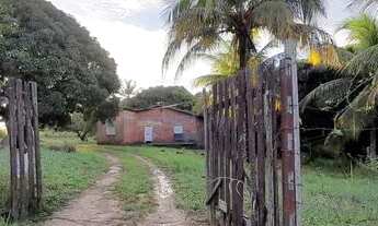 Imagem 6: Terreno plano. Da para fazer 19 lotes