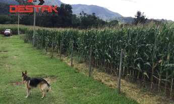 Imagem 5: Residencial - Cururu