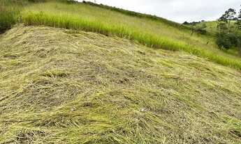 Imagem 6: TERRENO Á VENDA COM 1.100M²