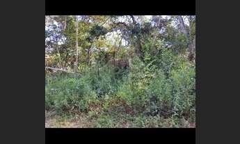 Imagem: São Gonçalo do Rio Preto, comunidade