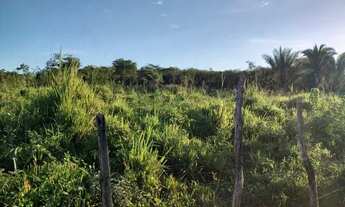 Imagem 3: Fazenda em Teresina-PI