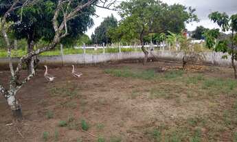 Imagem 7: Casa para venda com 105 metros quadrados com 2 quartos em Planalto - Abreu e Lima - Pernam