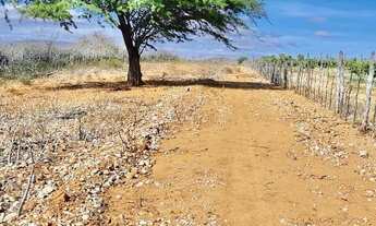 Imagem 5: Roça no Salitre Povoado de Braúna Juazeiro BA www.paulobarrosimoveis.com