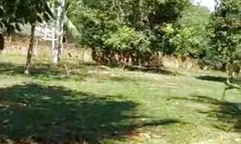 Imagem 5: Terreno para chácara no Tarumã