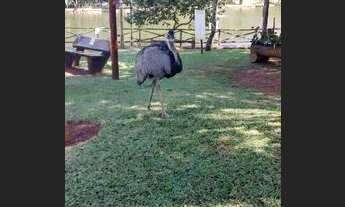 Imagem 3: Linda casa Condomínio do Lago 3 quartos