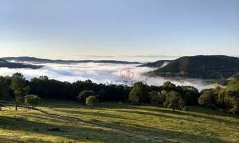 Imagem 2: Sítio na Linha São Paulo em Canela!