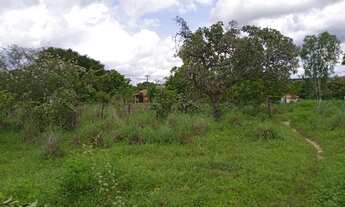 Imagem 2: Fazenda para Venda em Floriano, 4 dormitórios, 3 vagas