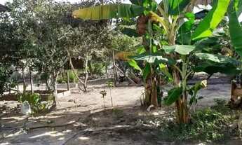 Imagem 6: Casa no Jardim das Copaíbas (Distrito Industrial