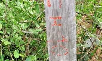 Imagem 2: Chácara com 4.789,79 m2 com o rio das pedras no fundo