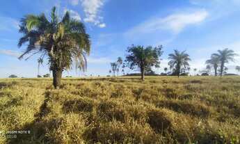 Imagem 3: Fazenda 53 alq. em trindade Go. 7 km este.chão R$: 23.850.000