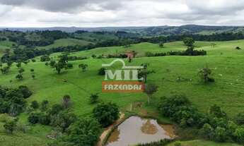 Imagem 7: Fazenda 360 alqueires (1.742 hectares ) Catalao - GO
