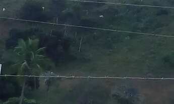 Imagem 4: Áreas à venda em rua pública, ZONA RURAL, Ubaíra, BA