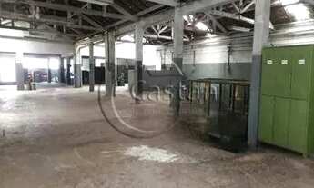 Imagem 7: Terreno vila prudente 700m2