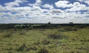 Imagem 4: Fazenda entre Santa Cruz e Cristianópolis