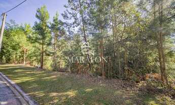 Imagem 3: TERRENO EM GRAMADO