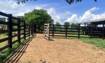 Imagem 4: Fazenda de 1.200 hectares sentido Cáceres MT