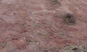 Imagem 5: Vendo ou troco terreno