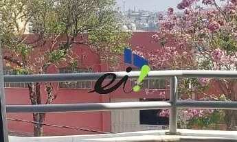 Imagem 4: Excelente apto mobiliado próximo a UFMG