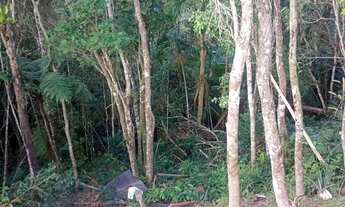 Imagem 7: 2500 mts proximo ao asfalto