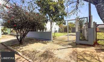 Imagem 3: Terreno em Olaria