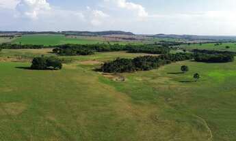 Imagem 3: Fazenda a venda em Indiara Goiás!!!