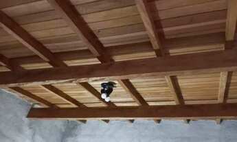 Imagem 7: Terreno à venda Olímpico - São Caetano do Sul - SP