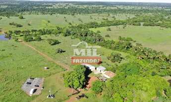 Imagem 2: Fazenda 75 alqueires (363 hectares) Mozarlândia - Go