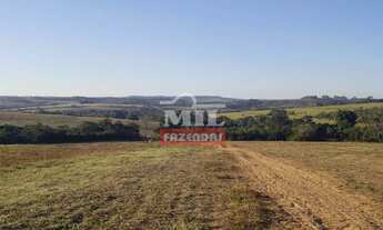 Imagem 2: Fazenda 31 alqueires (150 hectares) Silvania - GO
