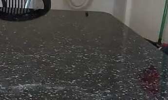 Imagem: Apartamento com 2 quartos à venda no bairro