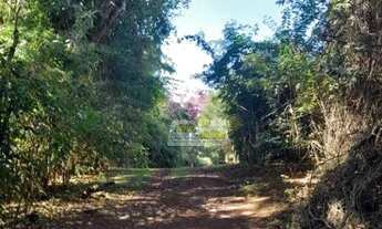 Imagem 5: Chácara com 1 dormitório à venda, 19760 m² por R$ 1.500.000,00 - Rural - Água Comprida/MG