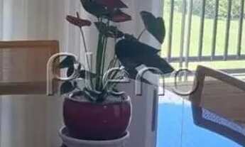 Imagem 4: Apartamento à venda e para locação no Vila Brandina, Campinas