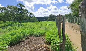 Imagem 4: Excelente área de terra de 9. 5t Distrito TiquaruçúR$ 380.000t