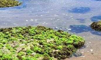 Imagem 7: Imóvel para venda com 64 metros quadrados com 2 quartos em Stella Maris - Salvador - BA