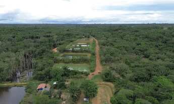Imagem 7: FAZENDA ARAPAIMA RAMAL 5.5