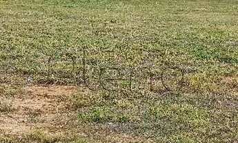 Imagem 2: Terreno à venda em Campinas, Parque São Quirino, com 462.48 m², Artesano Galleria