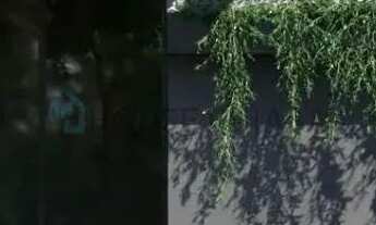 Imagem: Oportunidade Casa Costa Verde 3 quartos