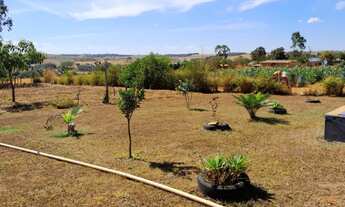 Imagem 7: Chácara em Bonfinópolis. Tamanho: 2.500m2