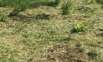 Imagem 3: Terreno à Venda em Mogi das Cruzes Campo Grande Santo Ângelo - próxima à avenida Japão